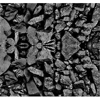 Carbon Coque 40 Kg